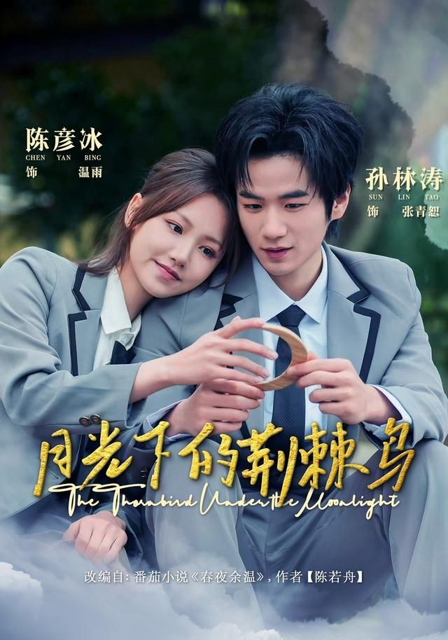 双重身份